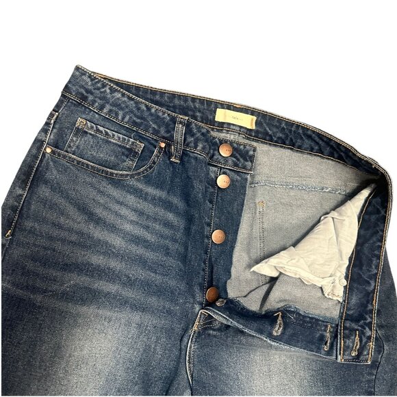 NWT tgla Womens Plus Size 2X Blue Jeans Button Fly Straight Leg Ankle High Rise - Picture 7 of 16